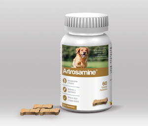 glucosamina condroitină în medicina veterinară