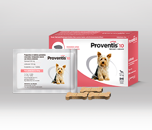Andrew Halliday portugisisk accelerator Veterinary Drugs │ Veterinary Products - Proventis® 10 | Oral Tablet |  Agrovet