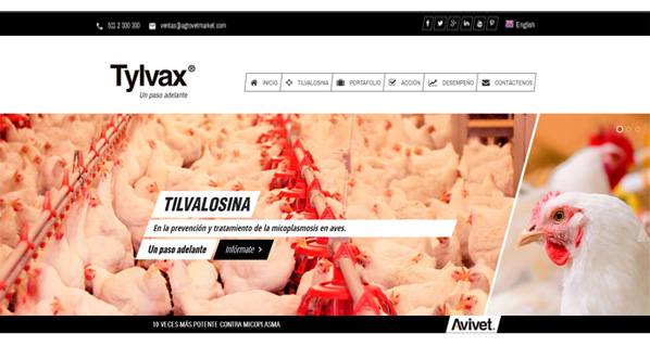 tilvalosina.com, el nuevo site de Avivet®