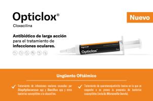 Opticlox®: Tratamiento ocular de acción prolongada