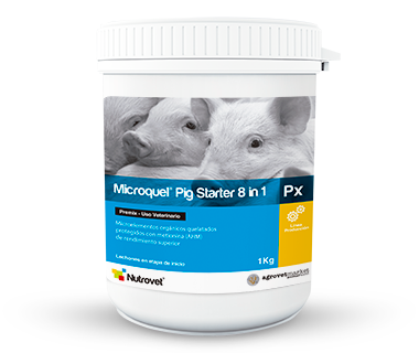 Microquel® Pig Starter 8 in 1 Px