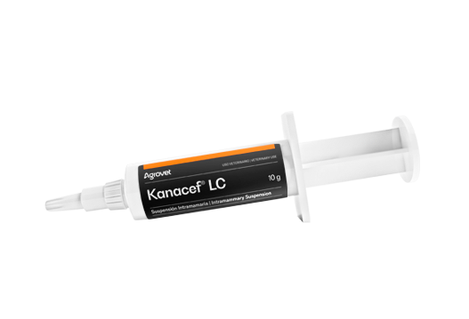 Kanacef® LC synergistic association betalactam-aminoglycoside broad spectrum for the  treatment of bovine mastitis 