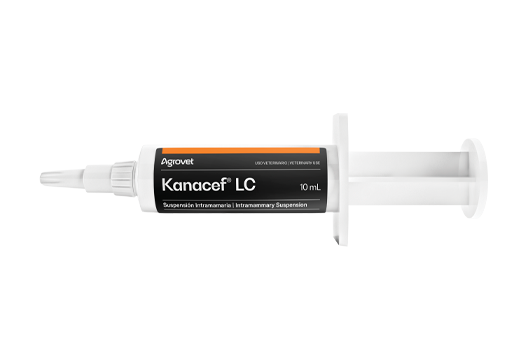Kanacef® LC asociación sinérgica betalactámica-aminoglucósido de amplio espectro  para el tratamiento de la mastitis bovina 
