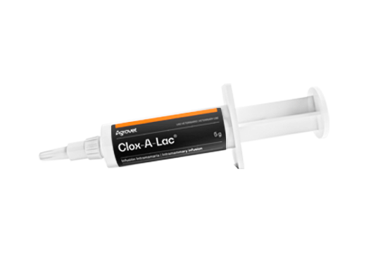 Clox-A-Lac® synergistic broad-spectrum antibiotic association - short-term treatment of bovine mastitis 