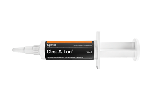 Clox-A-Lac® synergistic broad-spectrum antibiotic association - short-term treatment of bovine mastitis 