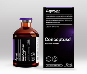 Conceptase® 