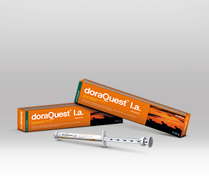 doraQuest® l.a. 