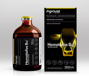 Hematofos B12® 