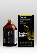 Iron-Dex 200® B12