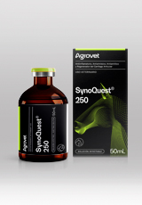 synoQuest® 250